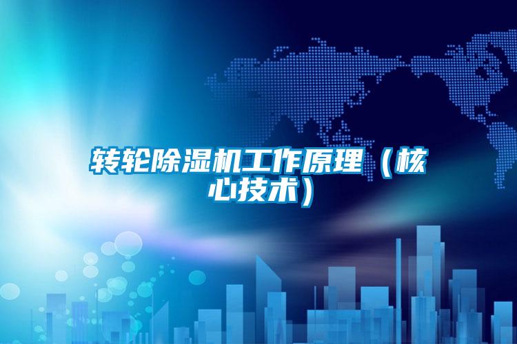 转轮好色先生污污版工作原理（核心技术）