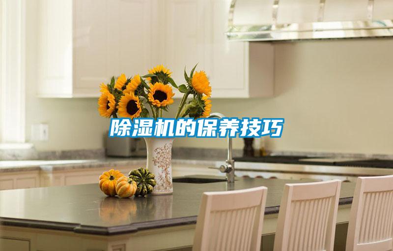 好色先生污污版的保养技巧