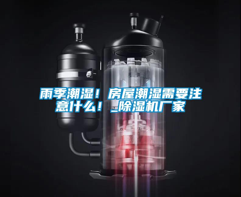 雨季潮湿！房屋潮湿需要注意什么！_好色先生污污版厂家