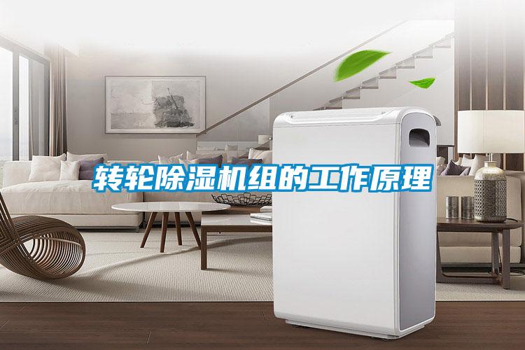 转轮好色先生污污版组的工作原理