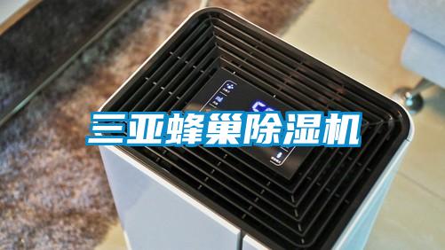 三亚蜂巢好色先生污污版