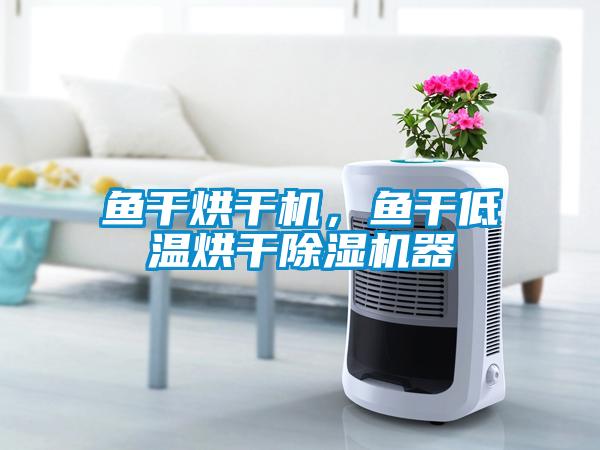 鱼干烘干机，鱼干低温烘干好色先生污污版器