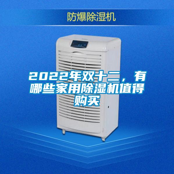 2022年双十二，有哪些家用好色先生污污版值得购买