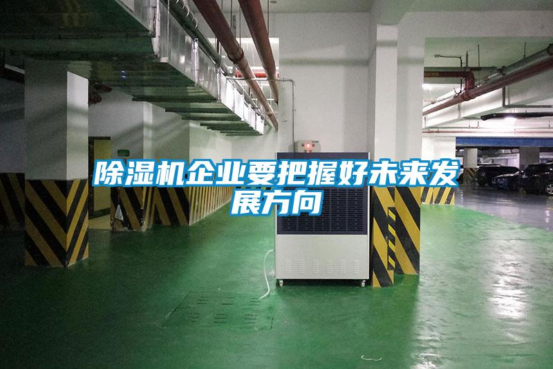 好色先生污污版企业要把握好未来发展方向