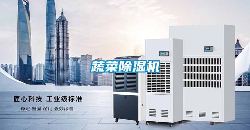 蔬菜好色先生污污版