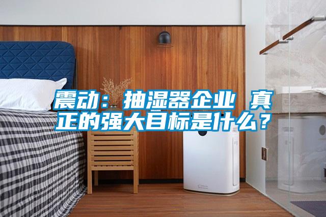 震动：抽湿器企业 真正的强大目标是什么？