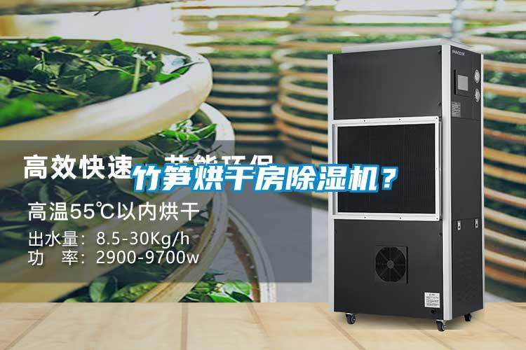 竹笋烘干房好色先生污污版？