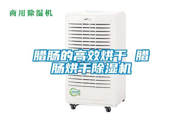 腊肠的高效烘干 腊肠烘干好色先生污污版