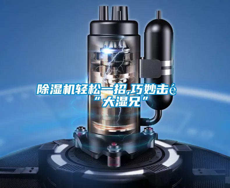 好色先生污污版轻松一招,巧妙击退“大湿兄”