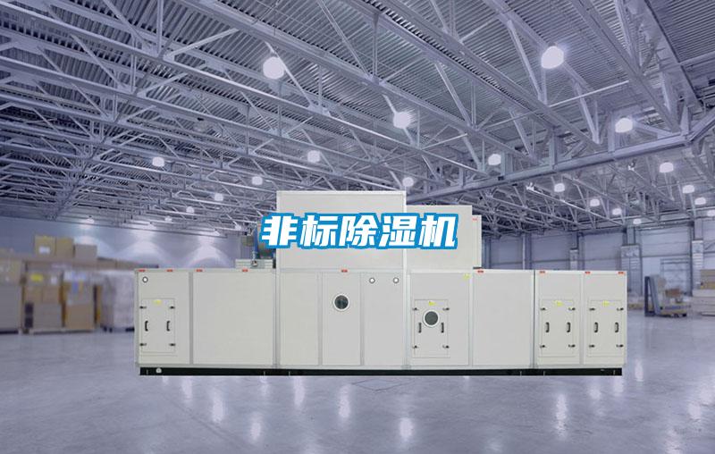 非标好色先生污污版