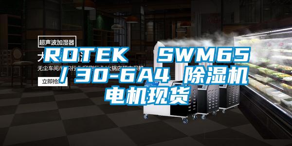 ROTEK SWM65/30-6A4 好色先生污污版电机现货