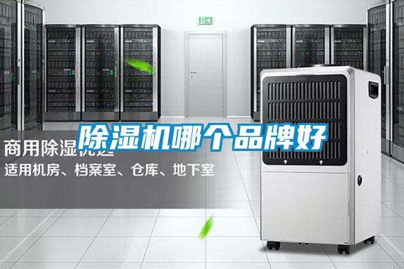 好色先生污污版哪个品牌好