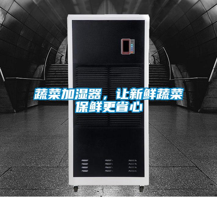 蔬菜加湿器，让新鲜蔬菜保鲜更省心