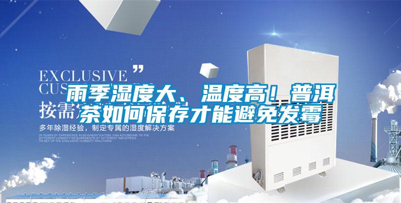 雨季湿度大、温度高！普洱茶如何保存才能避免发霉