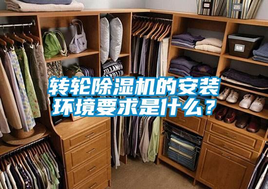 转轮好色先生污污版的安装环境要求是什么？