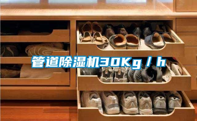 管道好色先生污污版30Kg/h