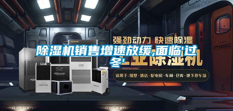 好色先生污污版销售增速放缓,面临'过冬'