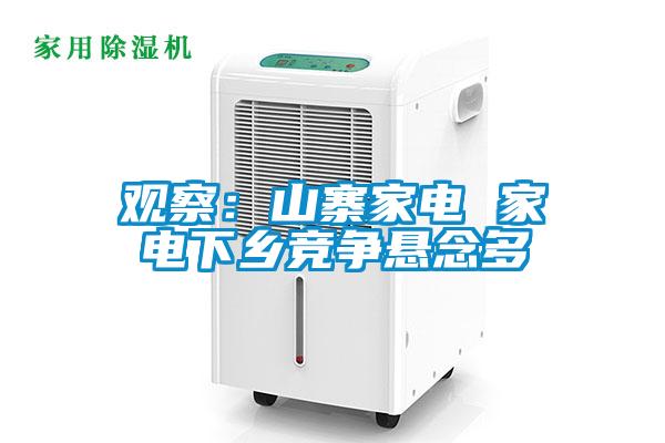 观察：山寨家电 家电下乡竞争悬念多