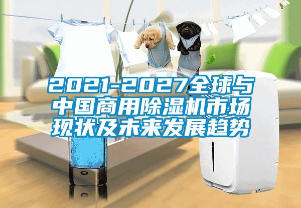 2021-2027全球与中国商用好色先生污污版市场现状及未来发展趋势