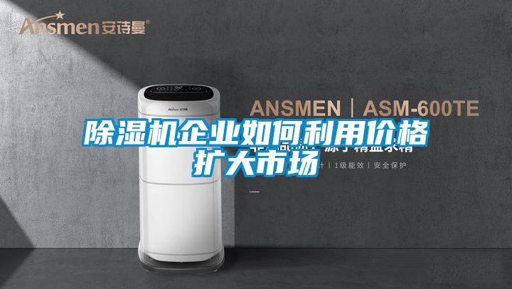 好色先生污污版企业如何利用价格扩大市场