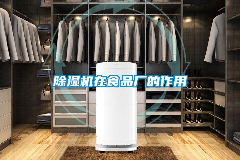 好色先生污污版在食品厂的作用