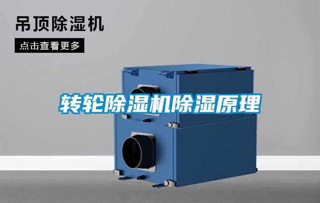 转轮好色先生污污版除湿原理