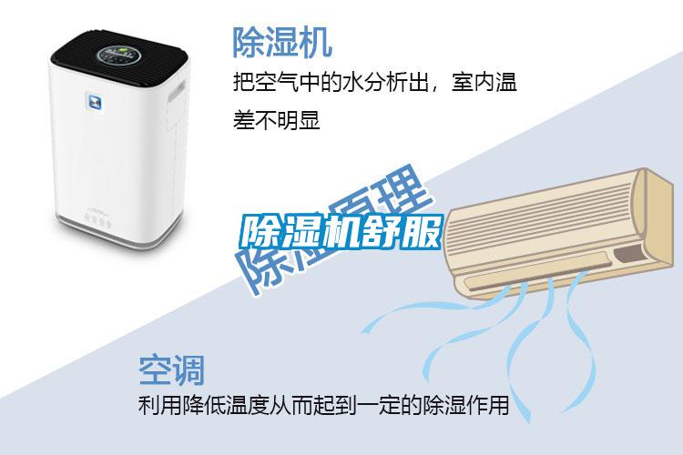 好色先生污污版舒服