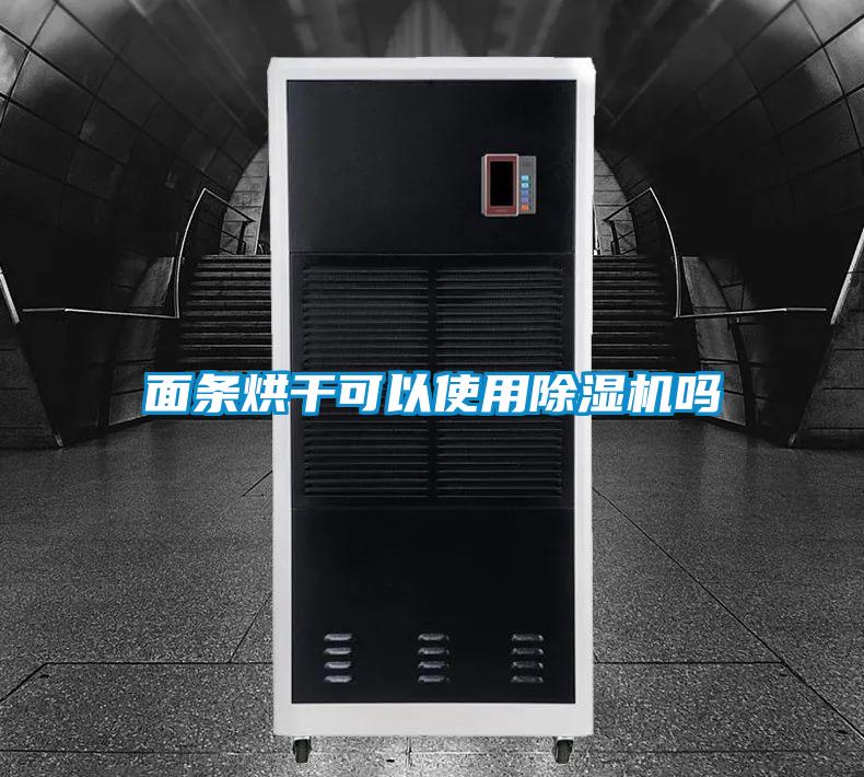 面条烘干可以使用好色先生污污版吗