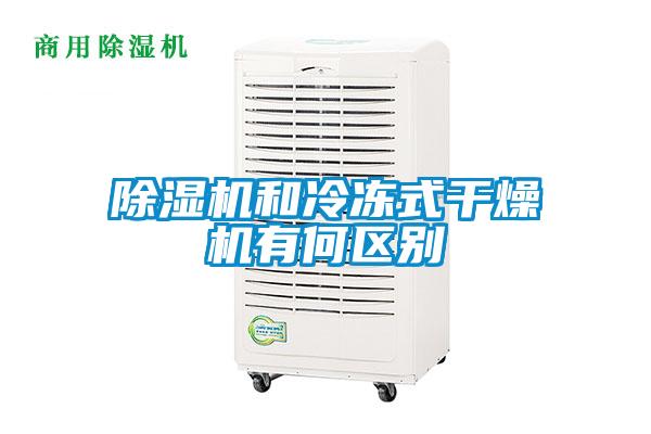 好色先生污污版和冷冻式干燥机有何区别