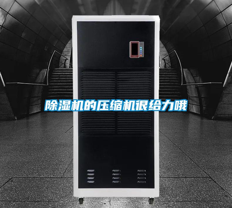 好色先生污污版的压缩机很给力哦