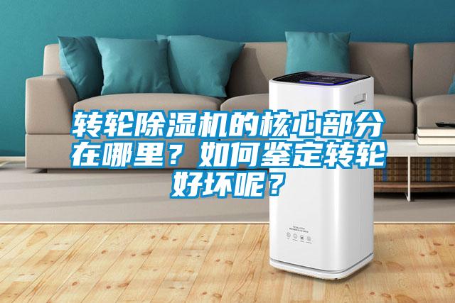 转轮好色先生污污版的核心部分在哪里？如何鉴定转轮好坏呢？