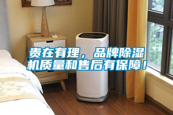 贵在有理，品牌好色先生污污版质量和售后有保障！