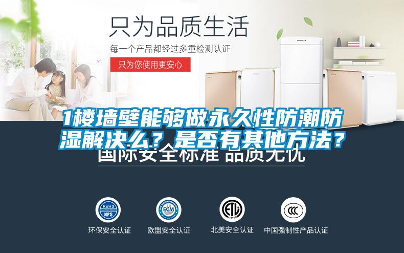 1楼墙壁能够做永久性防潮防湿解决么？是否有其他方法？