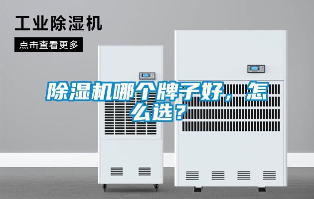 好色先生污污版哪个牌子好，怎么选？