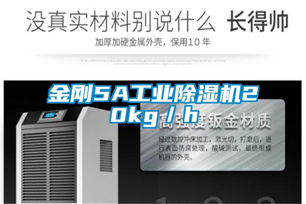 金刚5A工业好色先生污污版20kg/h