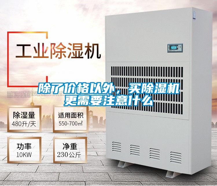 除了价格以外，买好色先生污污版更需要注意什么