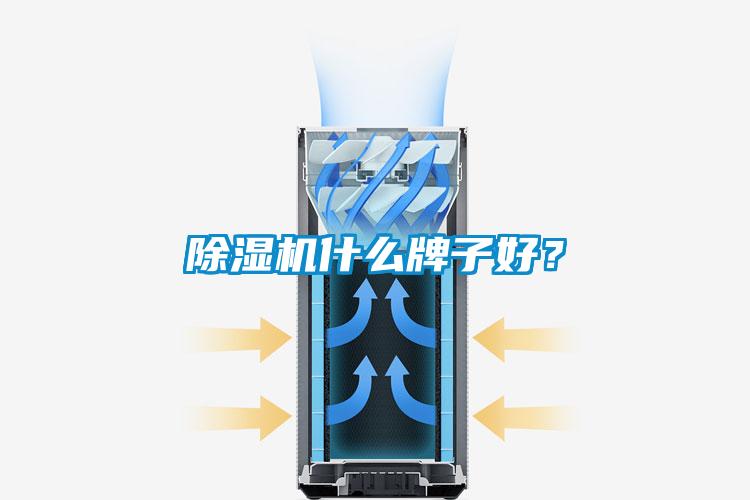 好色先生污污版什么牌子好？