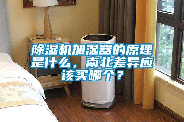 好色先生污污版加湿器的原理是什么，南北差异应该买哪个？
