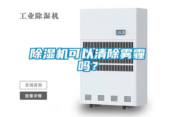 好色先生污污版可以清除雾霾吗？