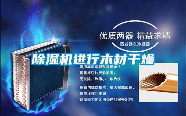 好色先生污污版进行木材干燥