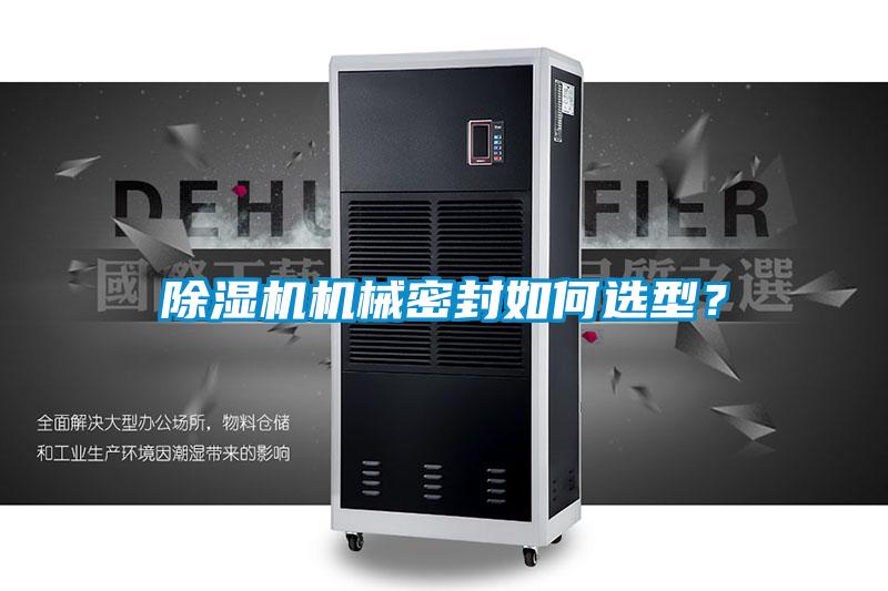 好色先生污污版机械密封如何选型？