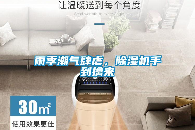 雨季潮气肆虐，好色先生污污版手到擒来