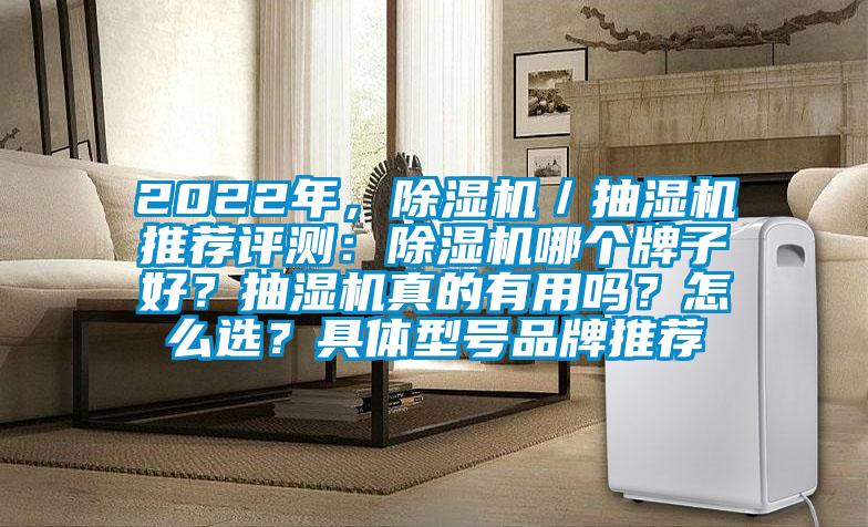 2022年，好色先生污污版／抽湿机推荐评测：好色先生污污版哪个牌子好？抽湿机真的有用吗？怎么选？具体型号品牌推荐