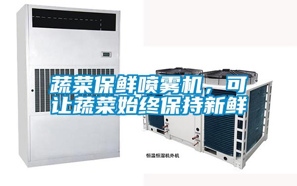 蔬菜保鲜喷雾机，可让蔬菜始终保持新鲜