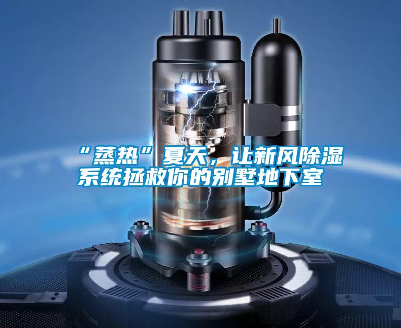 “蒸热”夏天，让新风除湿系统拯救你的别墅地下室