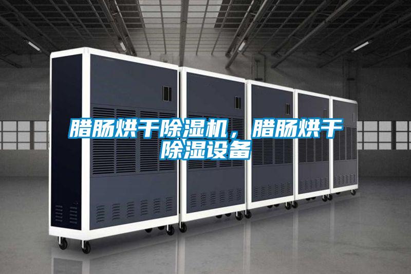 腊肠烘干好色先生污污版，腊肠烘干除湿设备