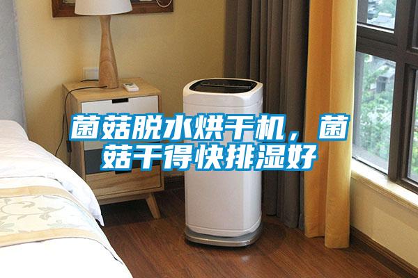 菌菇脱水烘干机，菌菇干得快排湿好