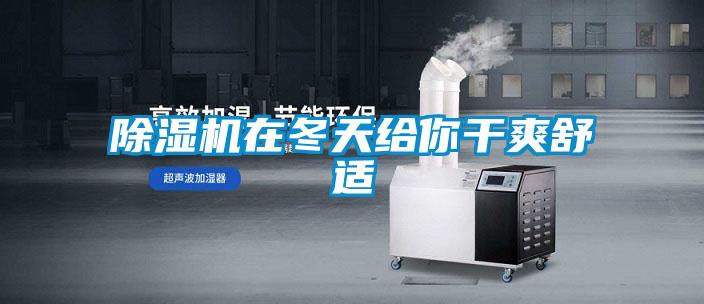 好色先生污污版在冬天给你干爽舒适