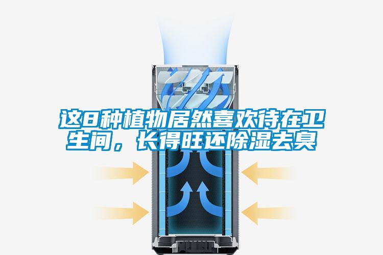 这8种植物居然喜欢待在卫生间，长得旺还除湿去臭