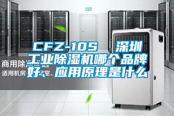 CFZ-10S  深圳工业好色先生污污版哪个品牌好、应用原理是什么